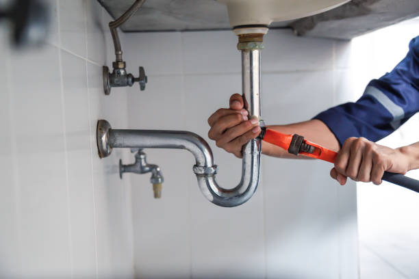 Best Leak Detection Services  in New Paleste, IN